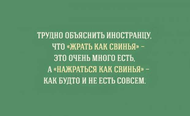Прикольные картинки об особенностях русского языка (15 шт)