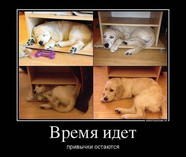 Демотиваторы демотиваторы