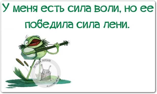У меня есть сила воли, но ее победила сила лени