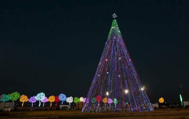 Рождественские елки во всем мире
