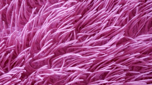 Как поднять ворс на ковре и вернуть ему нормальный внешний вид