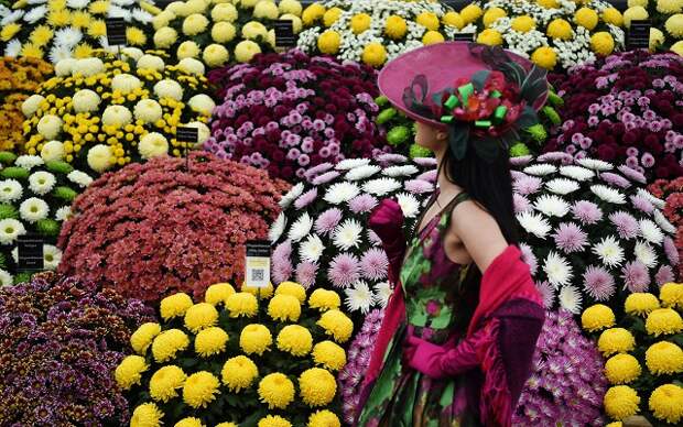 19 мая в Лондоне стартует The Chelsea Flower Show: одна из крупнейших европейских выставок, посвященных садоводству.