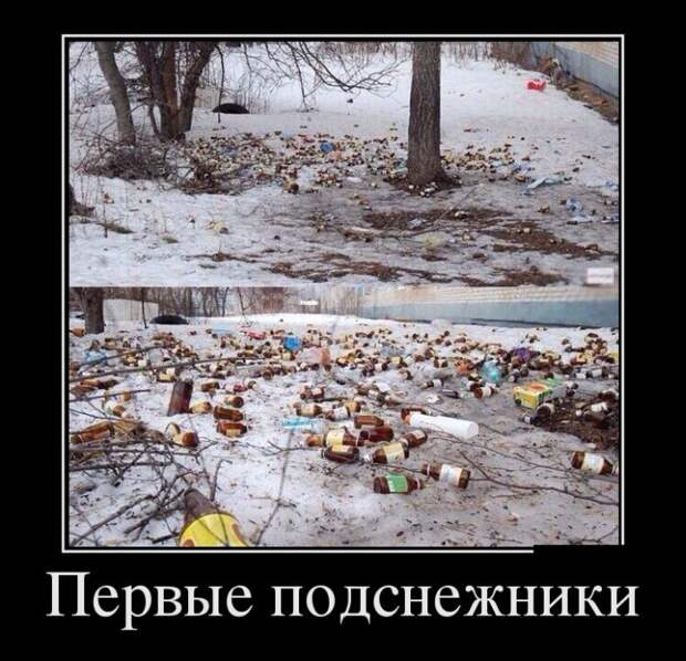 Подборка демотиваторов демотиваторы, юмор