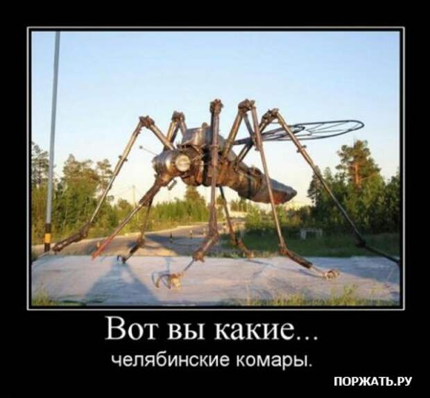 Понедельничные демотиваторы.
