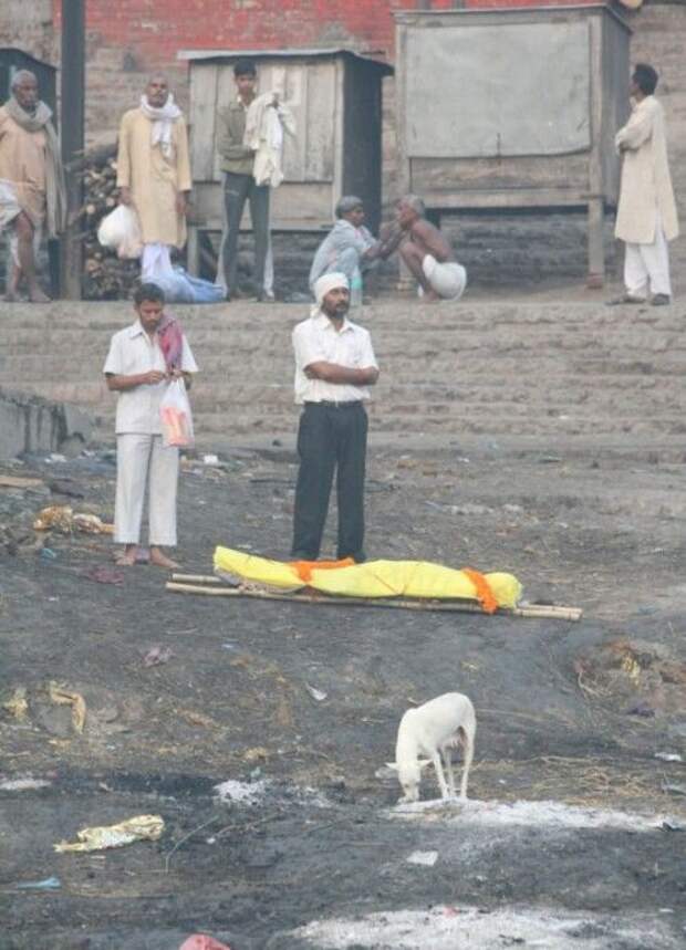 real_india_10