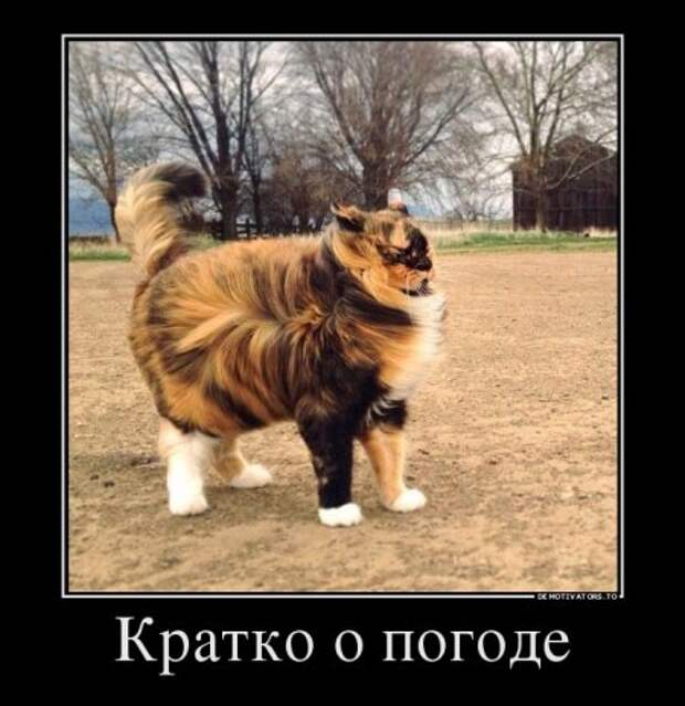 Демотиваторы прикольные опять появились.