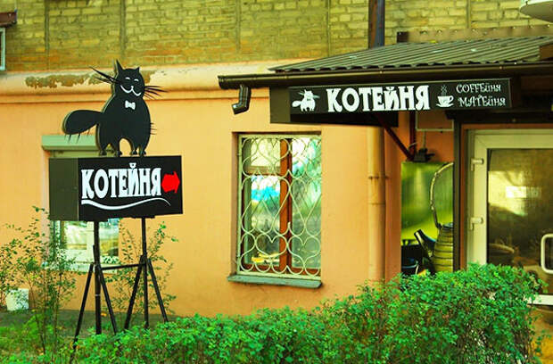 гениальные объявления и вывески
