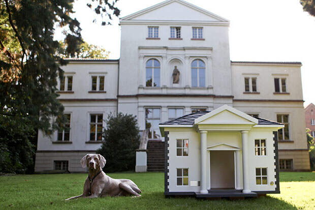 LUXURIOUS-DOG-MANSIONS