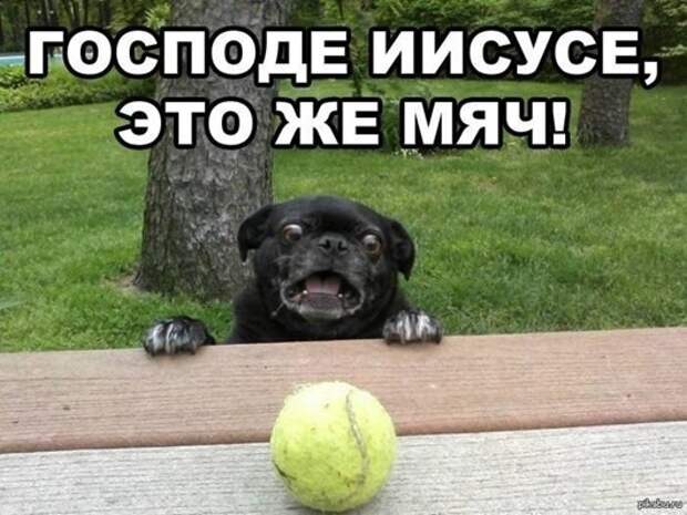 1375780984_1326296131