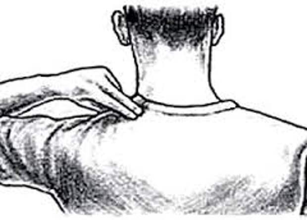 Картинки по запросу массаж шеи у основания черепа мозг