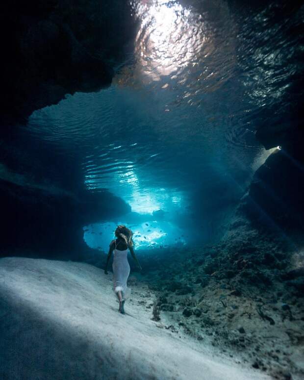 Андре Масгроув (André Musgrove) и его невероятные подводные снимки