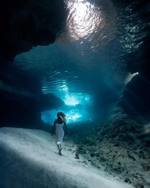 Андре Масгроув (André Musgrove) и его невероятные подводные снимки