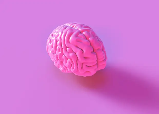 6 причин, почему память иногда подводит нас