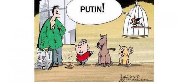 Везде Путин1