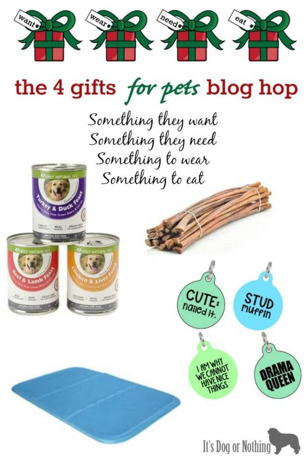 4 Gifts for Pets Blog Hop - Something they want, something they need, something they wear, something they eat.