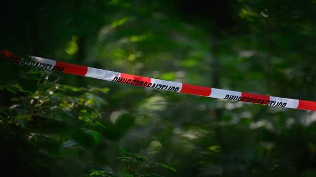 В полиции Саксонии подтвердили смерть пропавшей 9-летней уроженки Украины