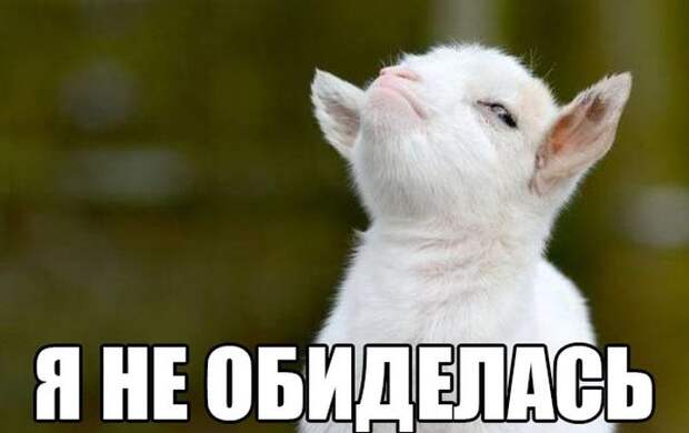 Прикольные картинки (93 фото) Прикольные картинки (93 фото)