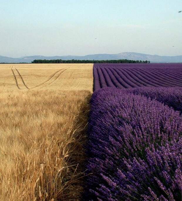 Впечатляющие фотографии, которых вы наверняка ещё не видели