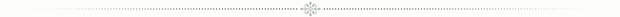 elegant_post_header_separator (651x18, 2Kb)