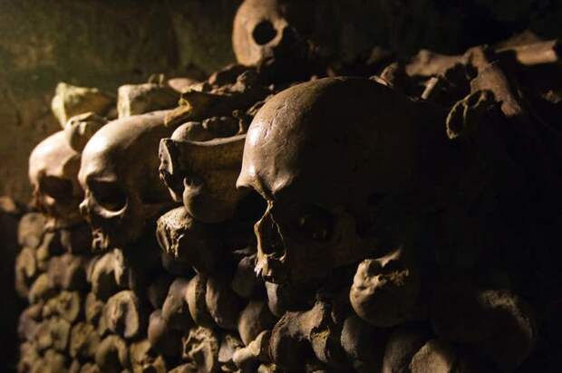 Черепа вблизи Подземные сооружения, захоронение, катакомбы, кладбище, париж, подземные ходы, череп, черепа
