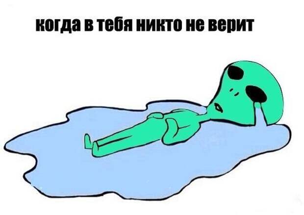Смешные картинки с подписями  картинки, прикол, юмор