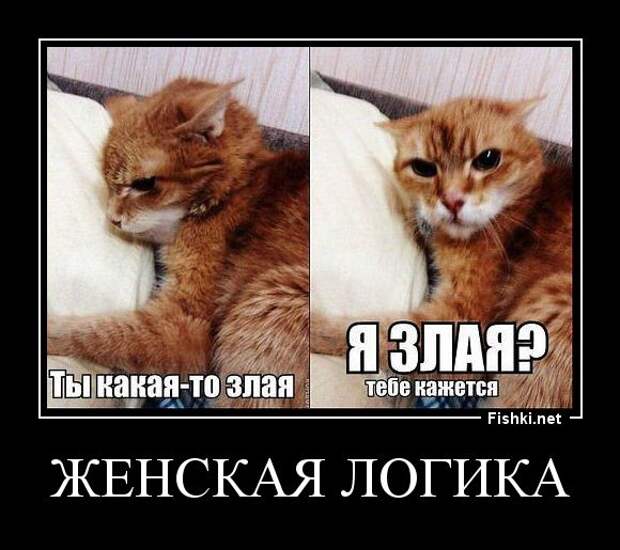 Демотиваторы  демотиваторы, прикол, смех, юмор