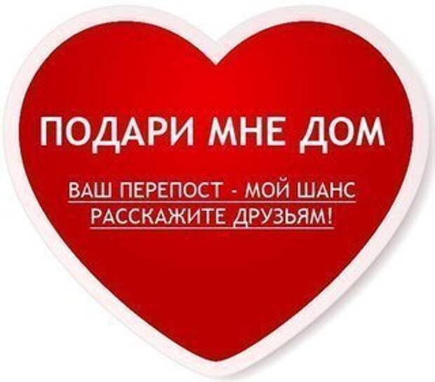 Возьмите маленькую домой! Ну, посмотрите, какая она славная!