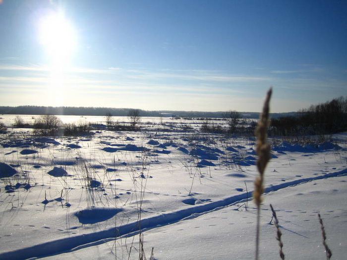 Фотозарисовка с Новгородской
