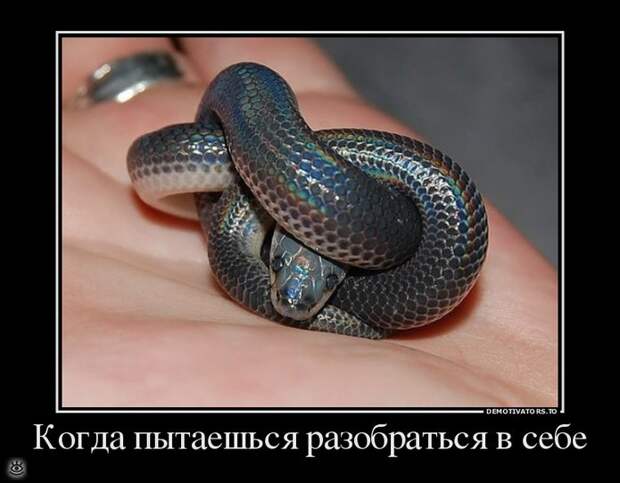 Не забывай включить мозг! 17