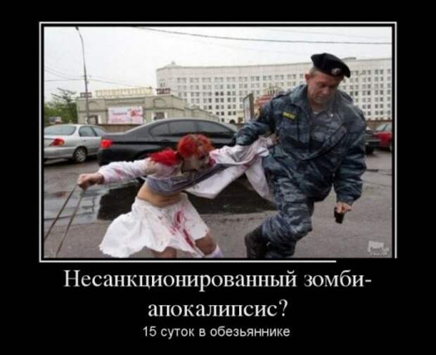 Демотиваторы картинки, прикольное