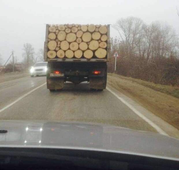 Приколы на злобу дня Приколы на злобу дня