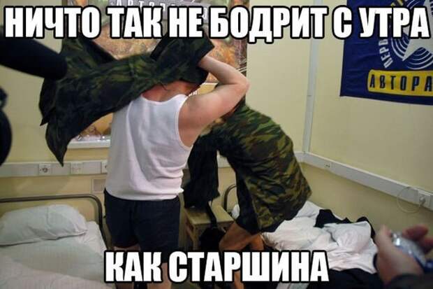 30 лучших картинок с фразами. Жмите Лайк!