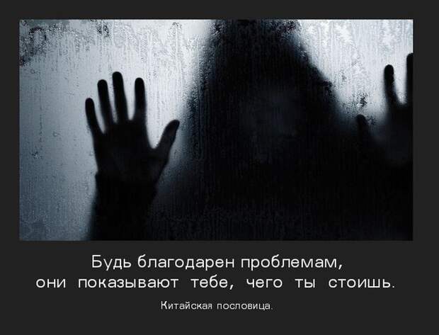 Демотиваторы (30 фото)