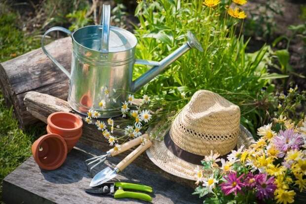 eco gardening