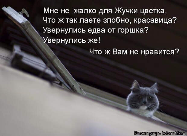 1429823356_20 (700x510, 181Kb)