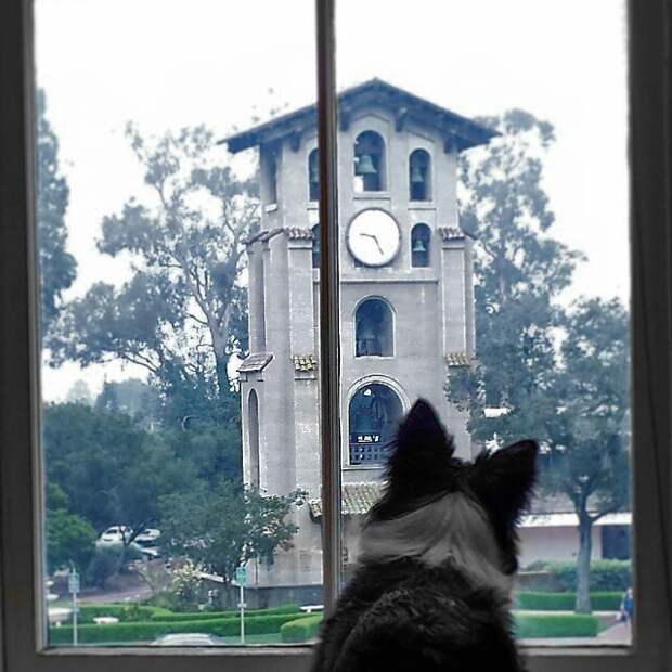 7. 