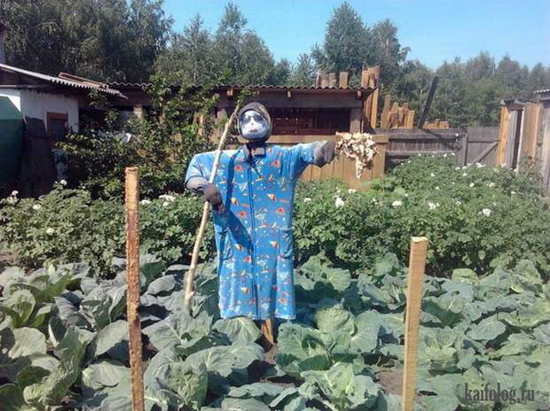 Инсталляция по-русски (45 фото)