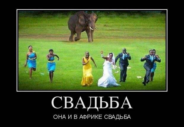 Прикольные демотиваторы