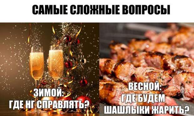 Юмор каждый день