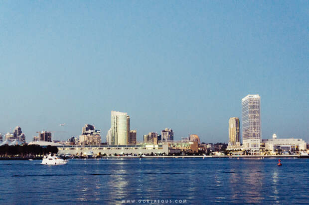 Coronado Island at Night-5.jpg