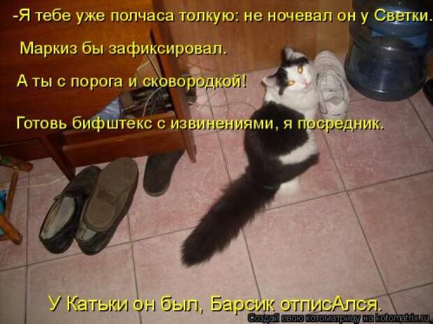 Новая котоматрица (32 фото)