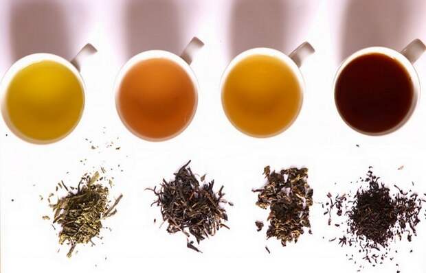 Чай сделает волосы блестящими и менее жесткими.