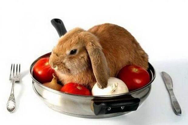 Плюсы и минусы различных видов мяса