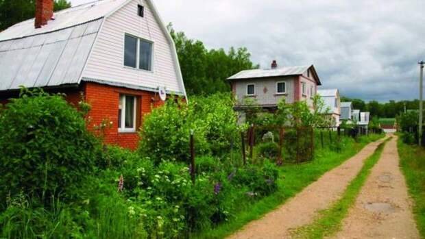 Штрафы за сорняки и уголовка за цветы: как в России ужесточили контроль за растениями с 2026 года