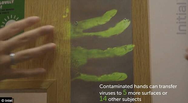 Contaminated hands transfer viruses to five more surfaces or 14 other people. Previous research found viruses can spread through and office within two to four hours