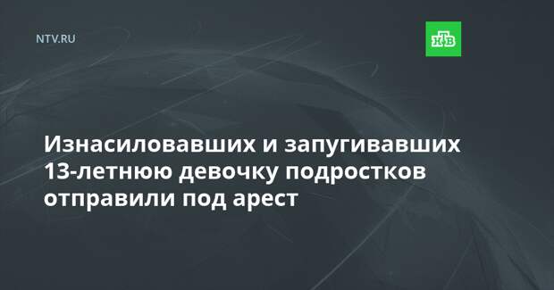 Изнасиловавших и запугивавших 13-летнюю девочку подростков отправили под арест