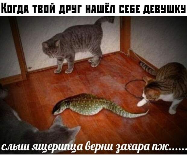 Вечерние приколы Вечерние приколы