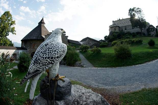 hohenwerfen-18