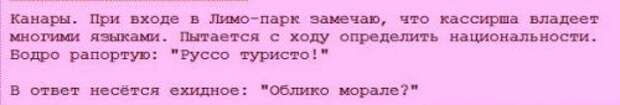 Смешные комментарии. Пена из соцсетей