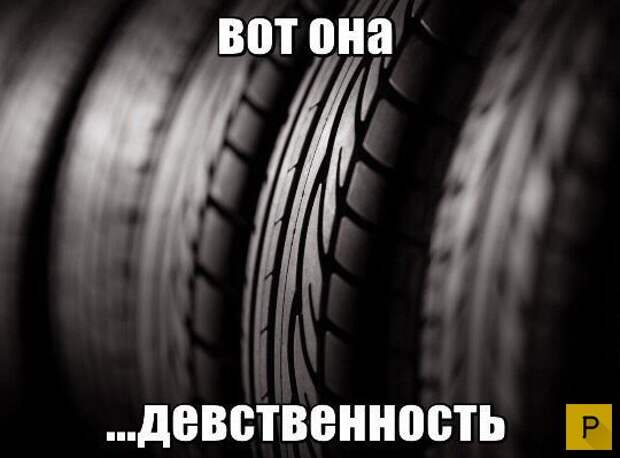 Забавные приколы на дороге (24 фото)